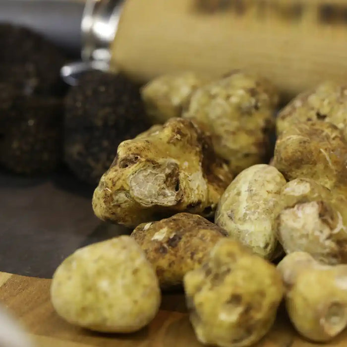 Truffes blanches et truffes noires fraîches disposées sur une planche en bois, prêtes pour la préparation culinaire.